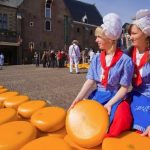 Cheese Market Alkmaar - Top 8 chợ nổi tiếng nhất tại Hà Lan và Amsterdam