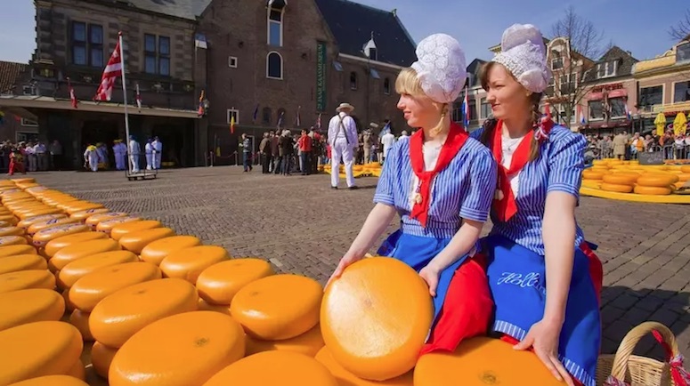 Cheese Market Alkmaar - Top 8 chợ nổi tiếng nhất tại Hà Lan và Amsterdam