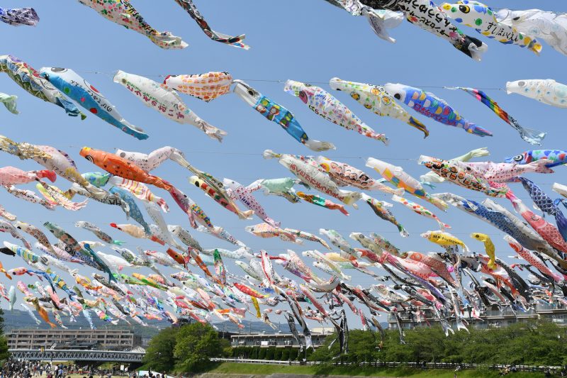 Lễ hội cá chép Nhật Bản